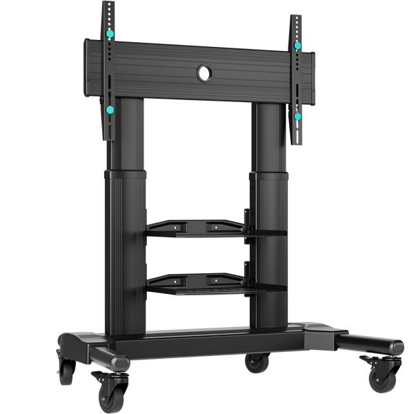 Mobile TV stand with bracket 40"-80", max 65.5 kg, black TS2771