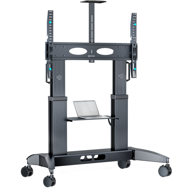 Mobile TV stand for TVs 70"-110", max 145 kg, black TS2821